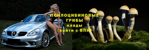 соль ск Алзамай